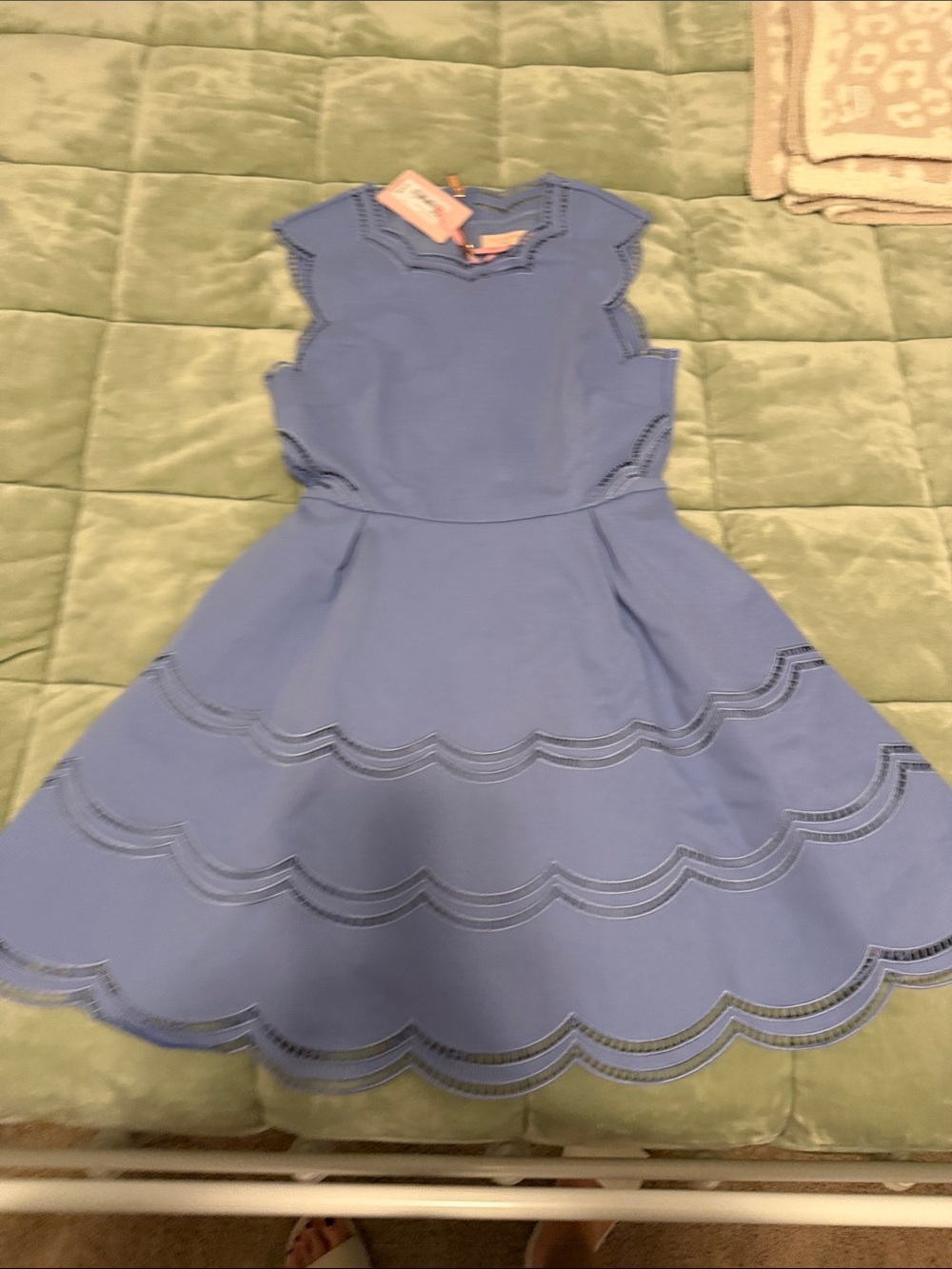 Ted baker Camry dress